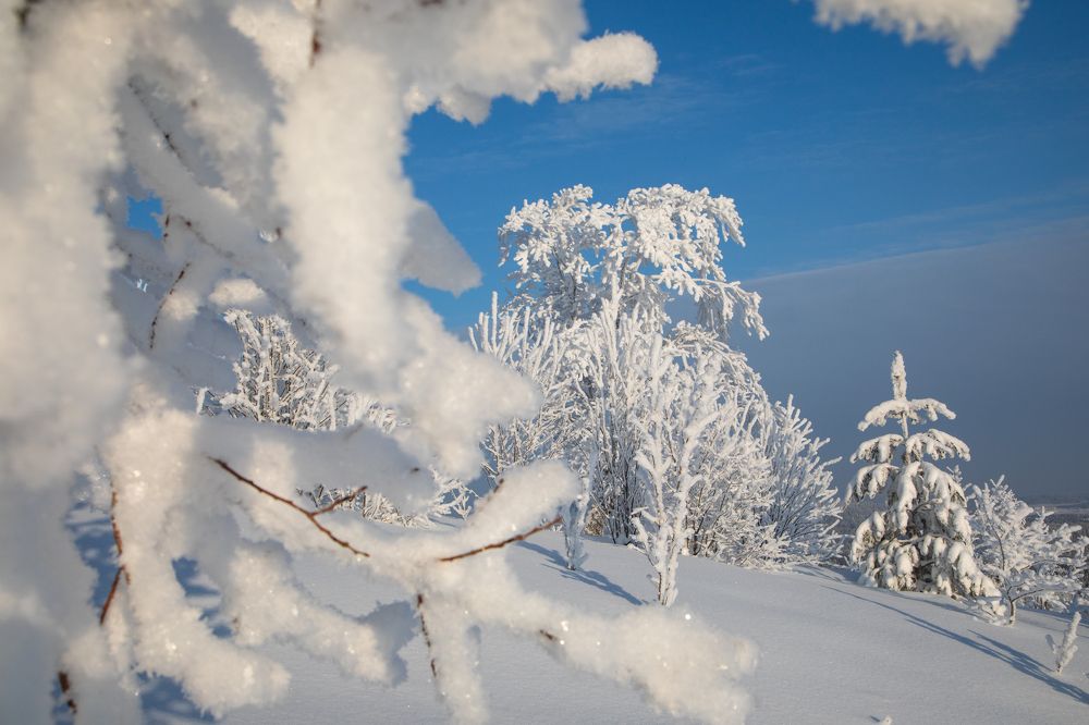 Photograph by Aleksei Utkin