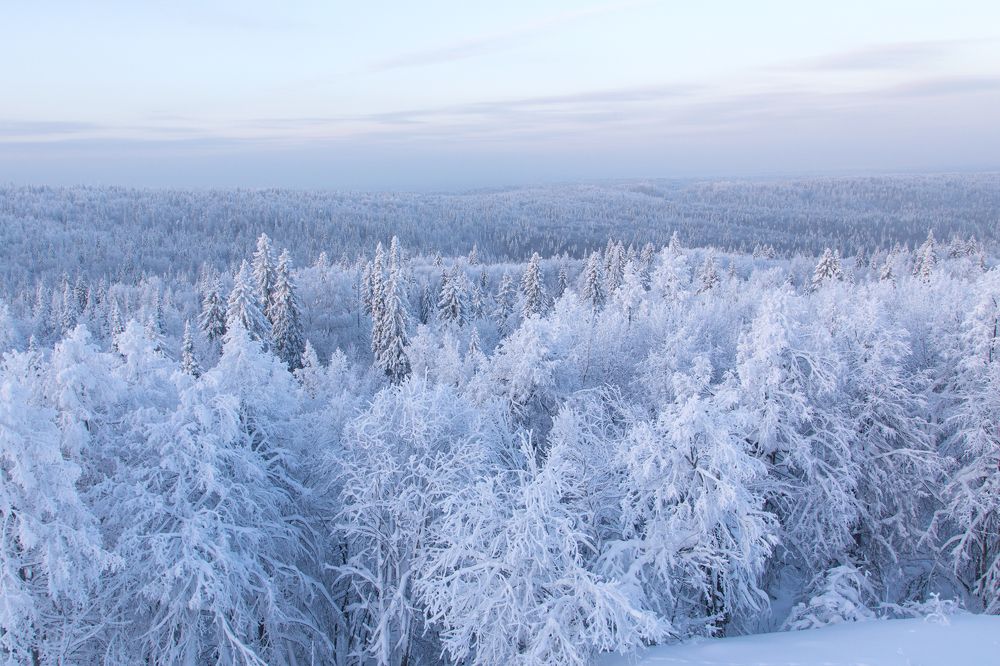 Photograph by Aleksei Utkin