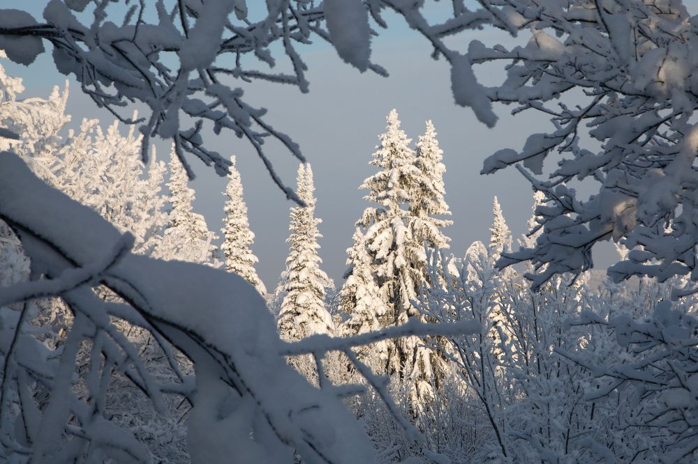 Photograph by Aleksei Utkin