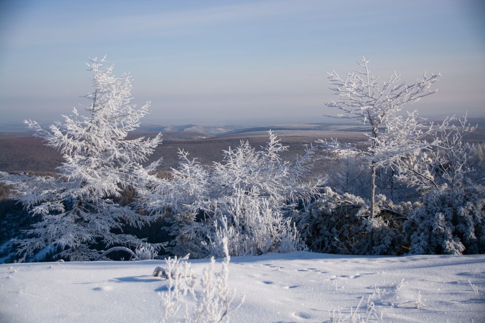Photograph by Елена Ласун