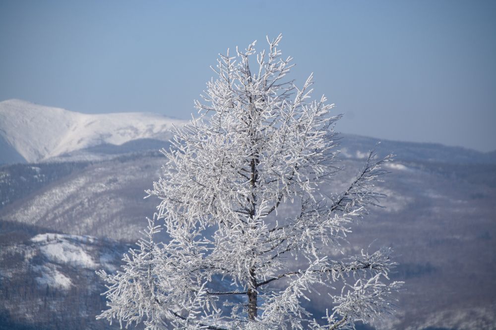 Photograph by Елена Ласун
