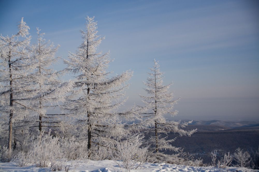 Photograph by Елена Ласун