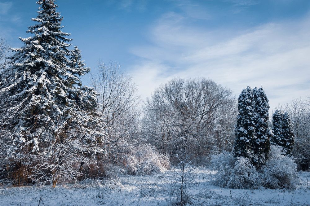 Photograph by Александр Редько