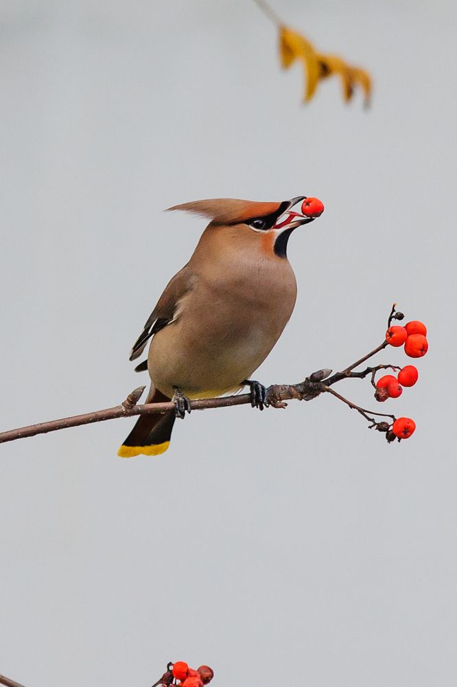 Photograph by Ирина Иванова