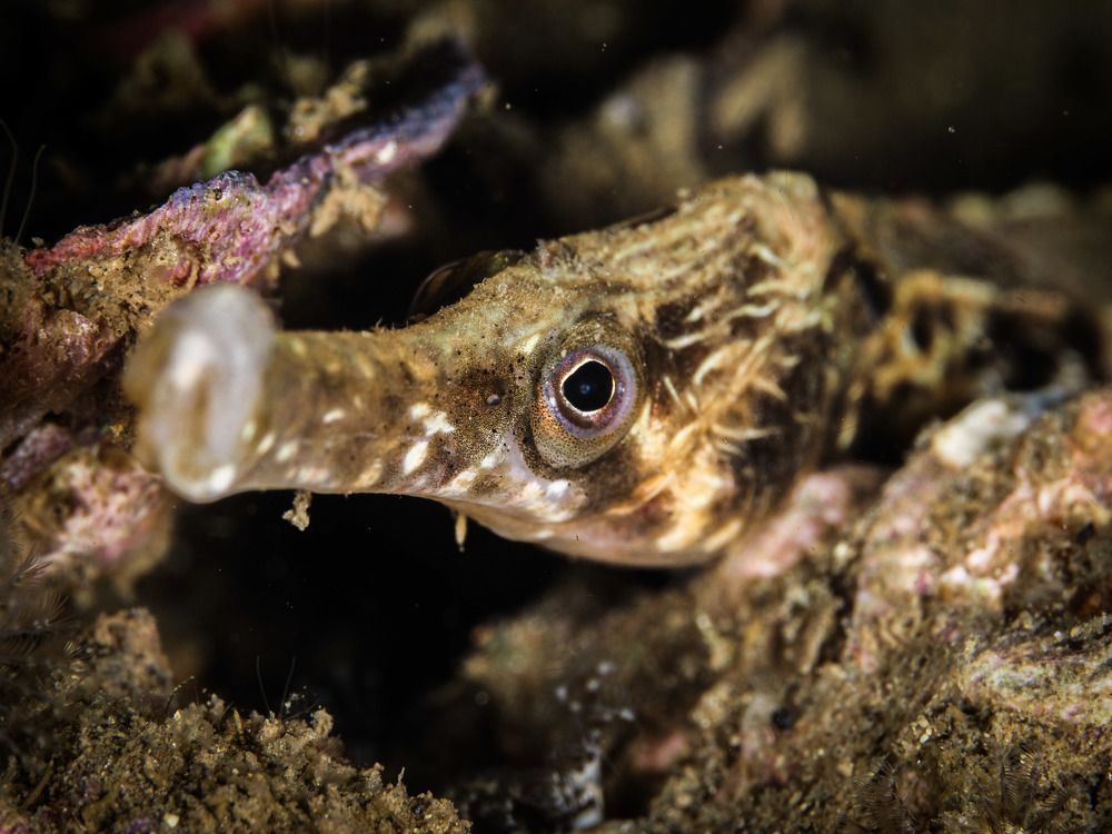 Photograph by Serdar AVCI