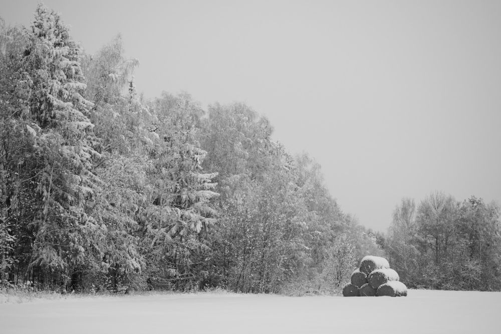 Photograph by Владимир