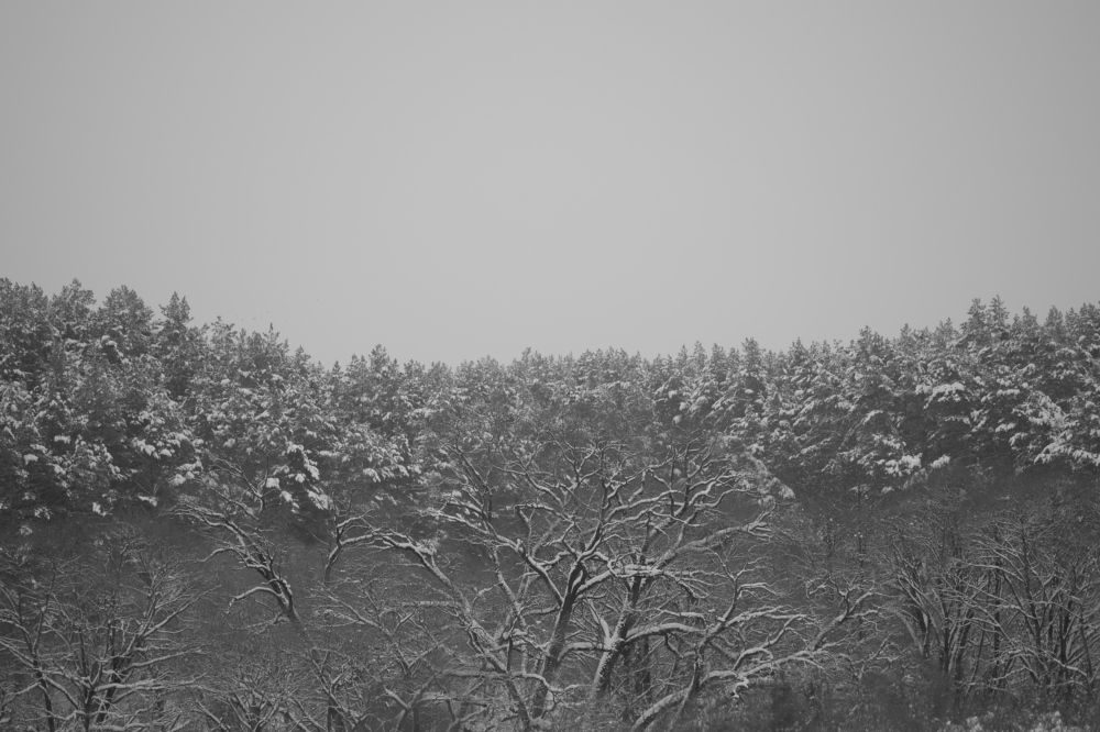 Photograph by Владимир