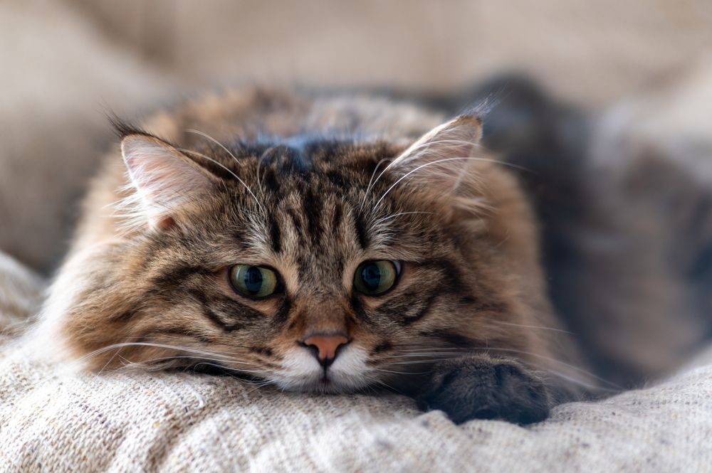 Photograph by Алексей Александрович