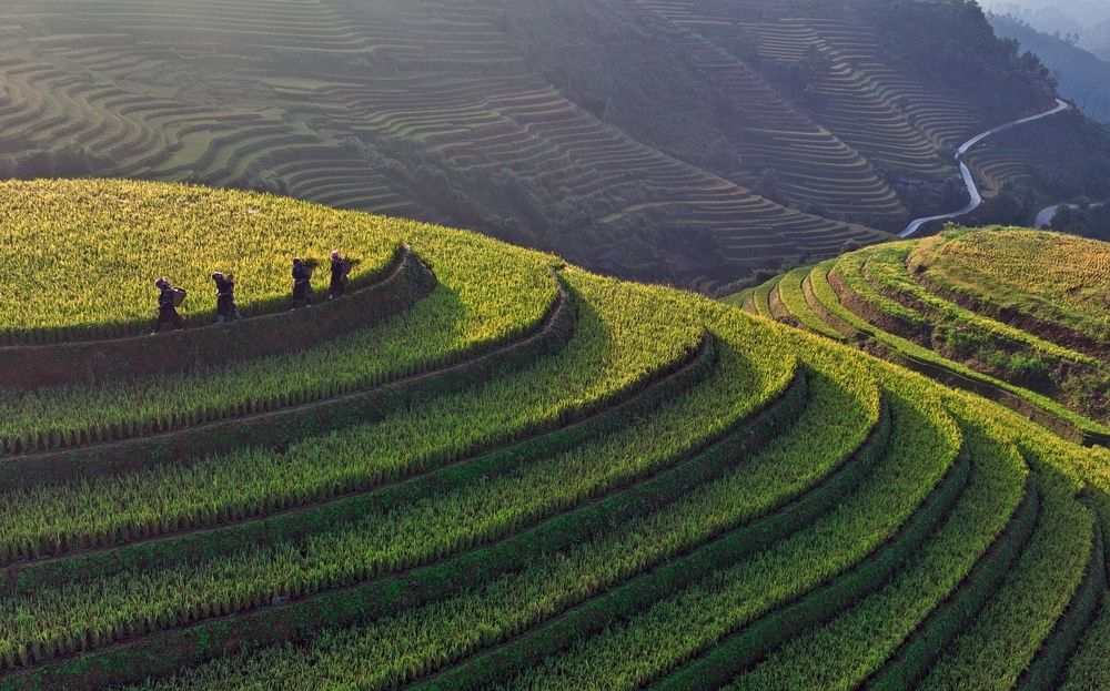 Photograph by Sabina Akter