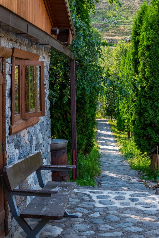 Фотография автора Дмитрий Referee