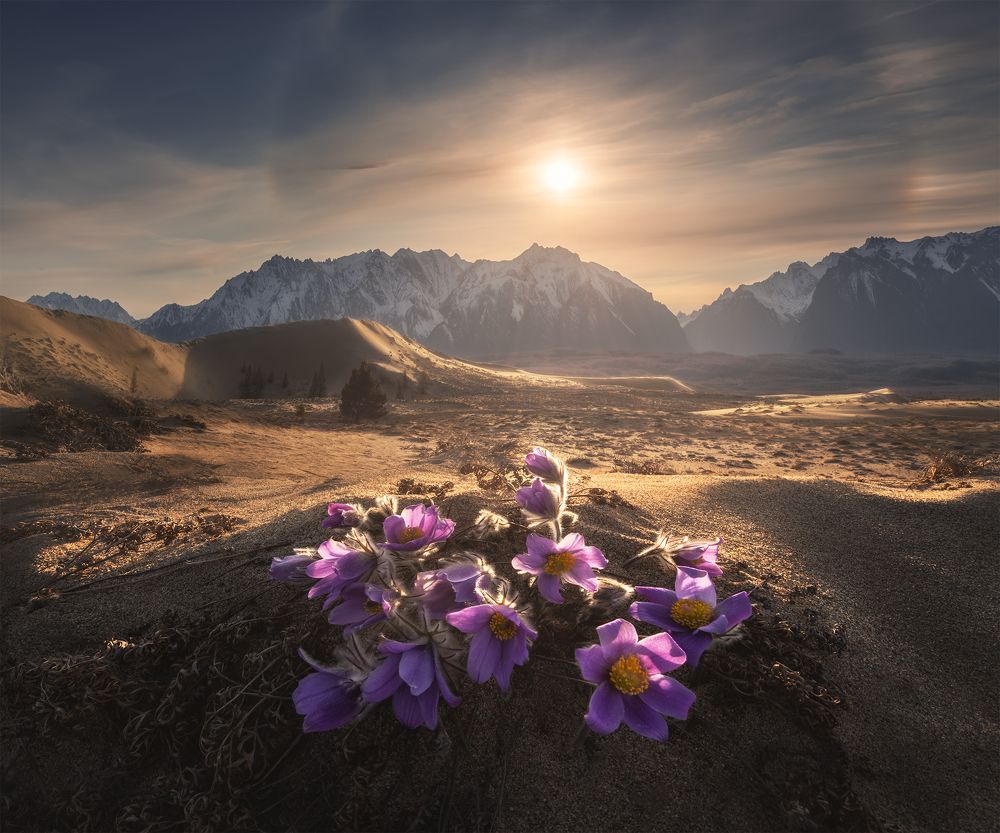 Photograph by Политова Анна