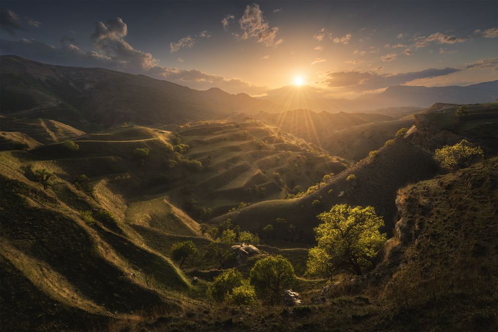 Photograph by Политова Анна