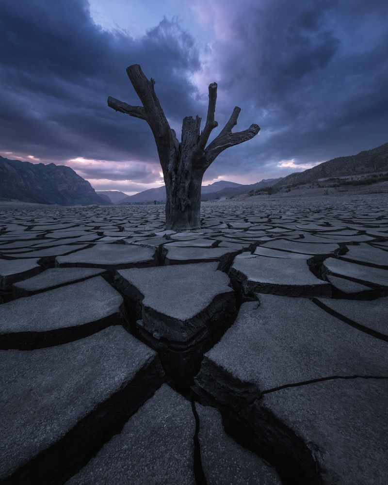 Photograph by Политова Анна