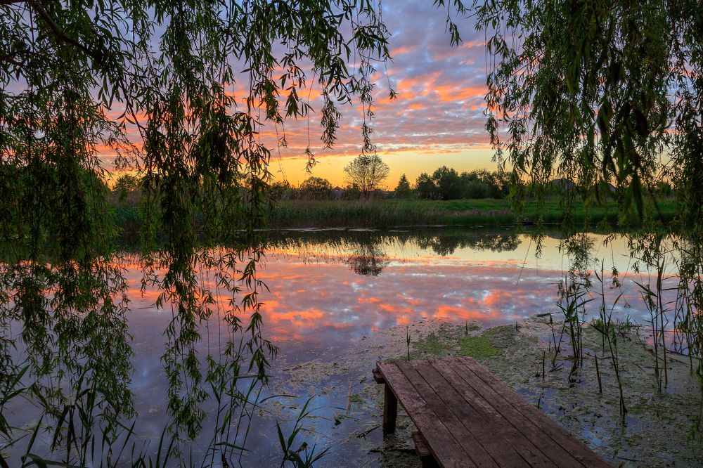 Тихая Сосна