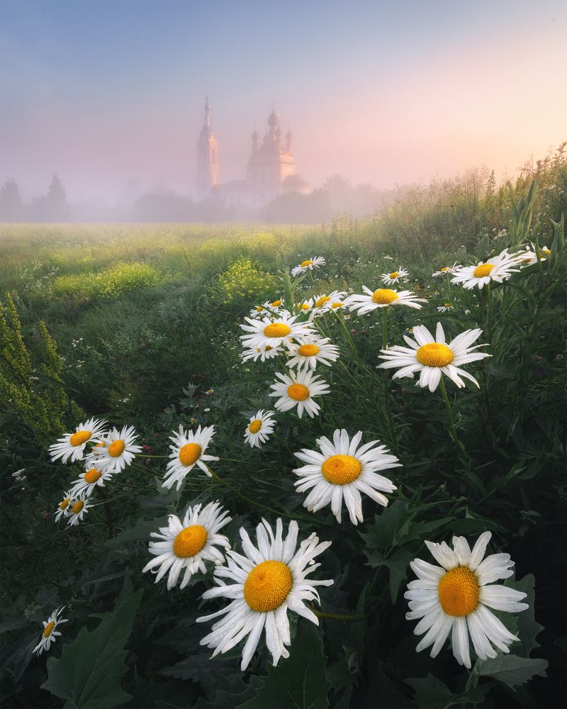 Photograph by Политова Анна