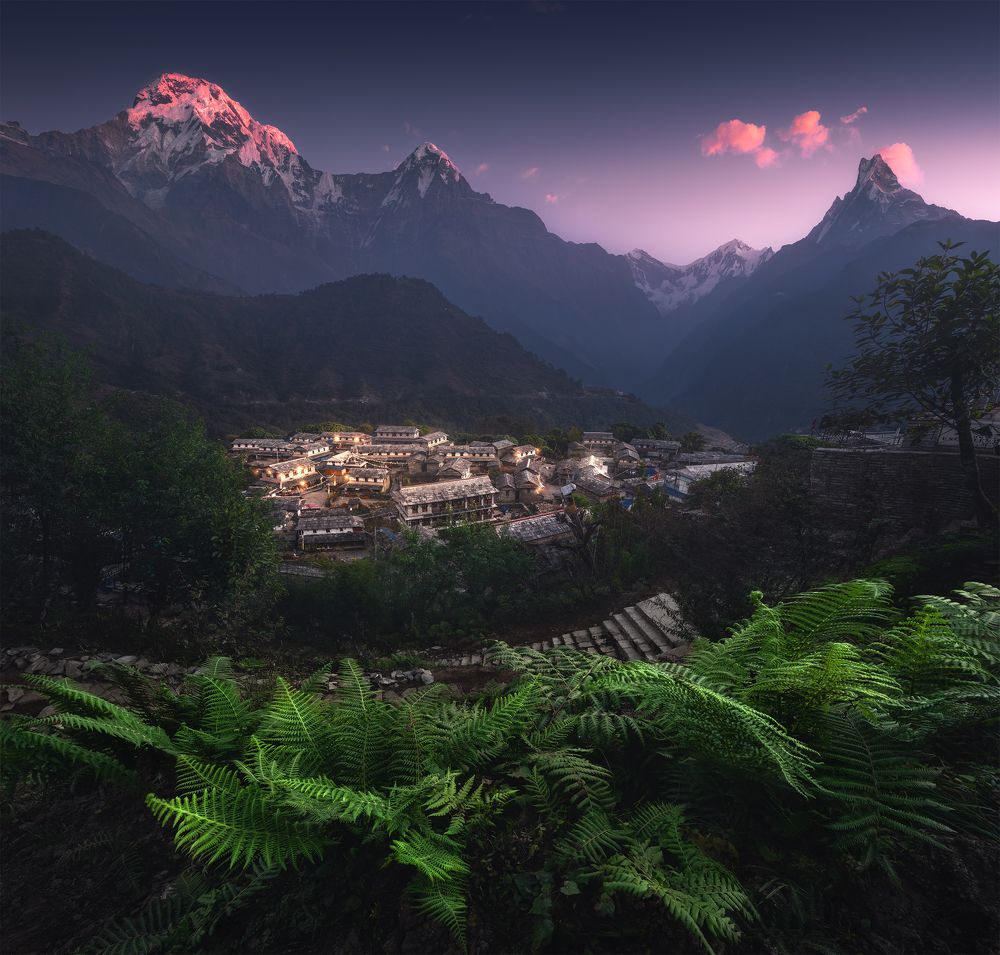 Photograph by Политова Анна