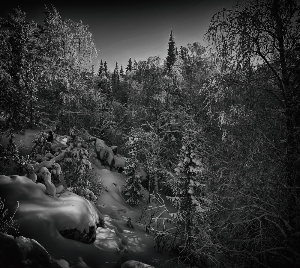 Уральские джунгли