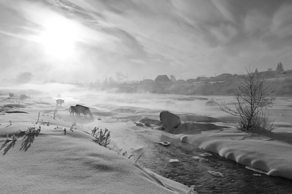 Водно-морозное перемирие