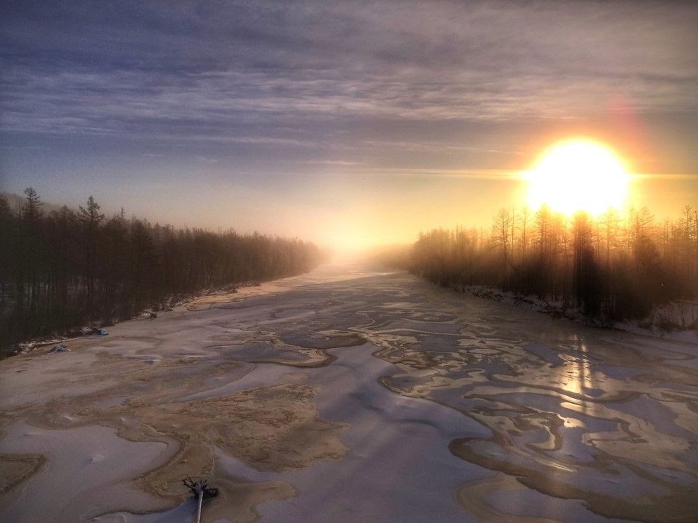 Photo #10127874
