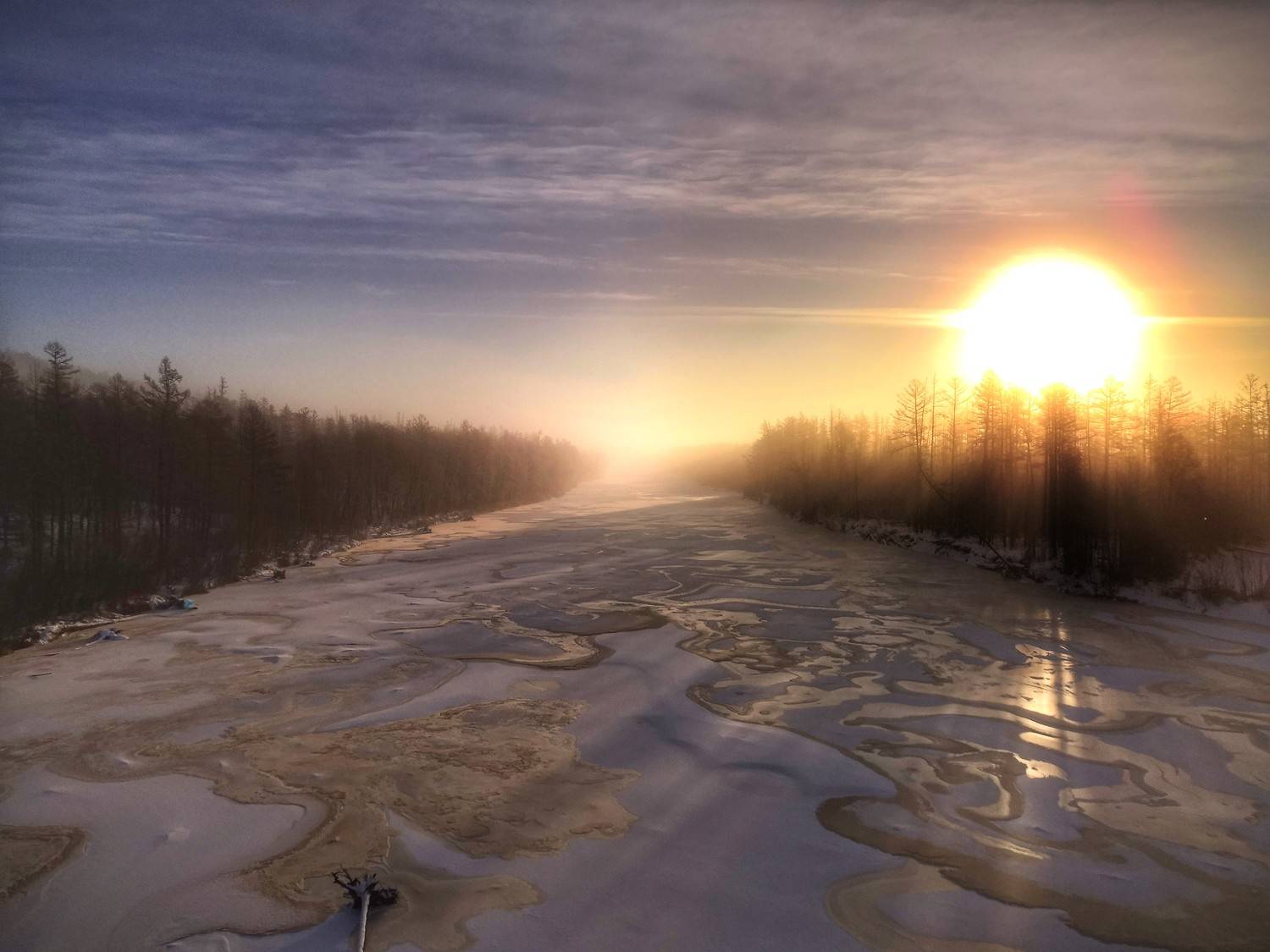 Photo #10127874