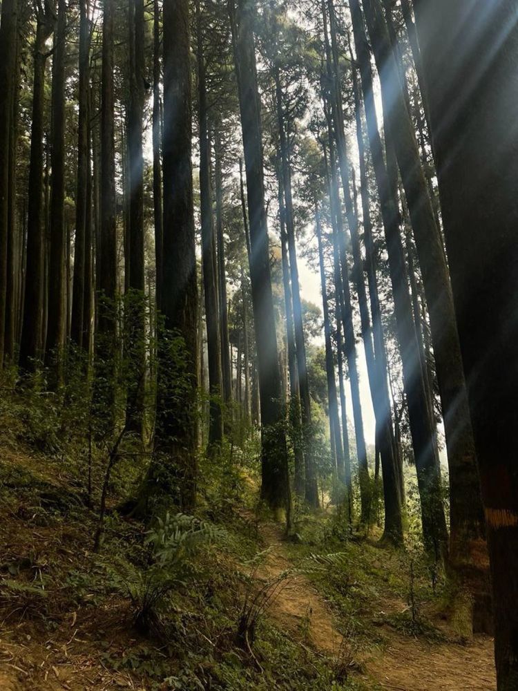 Photograph by Kangona Sinha