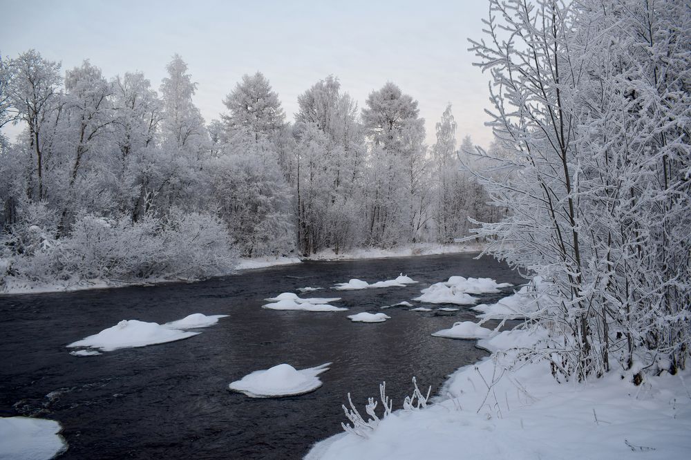 Фотография автора Оксана Льдинина