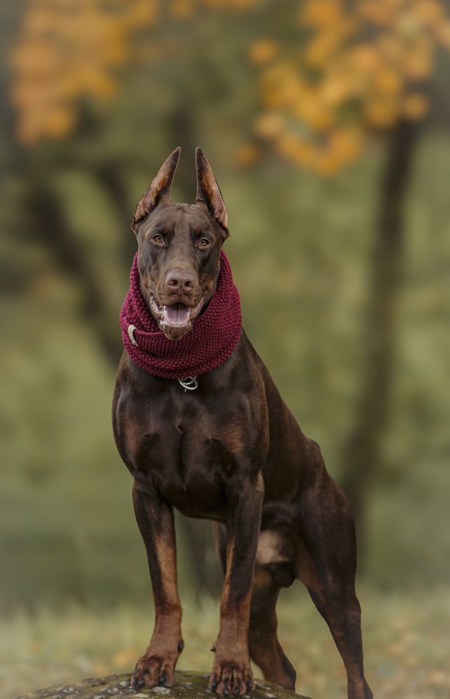 Photograph by Мария