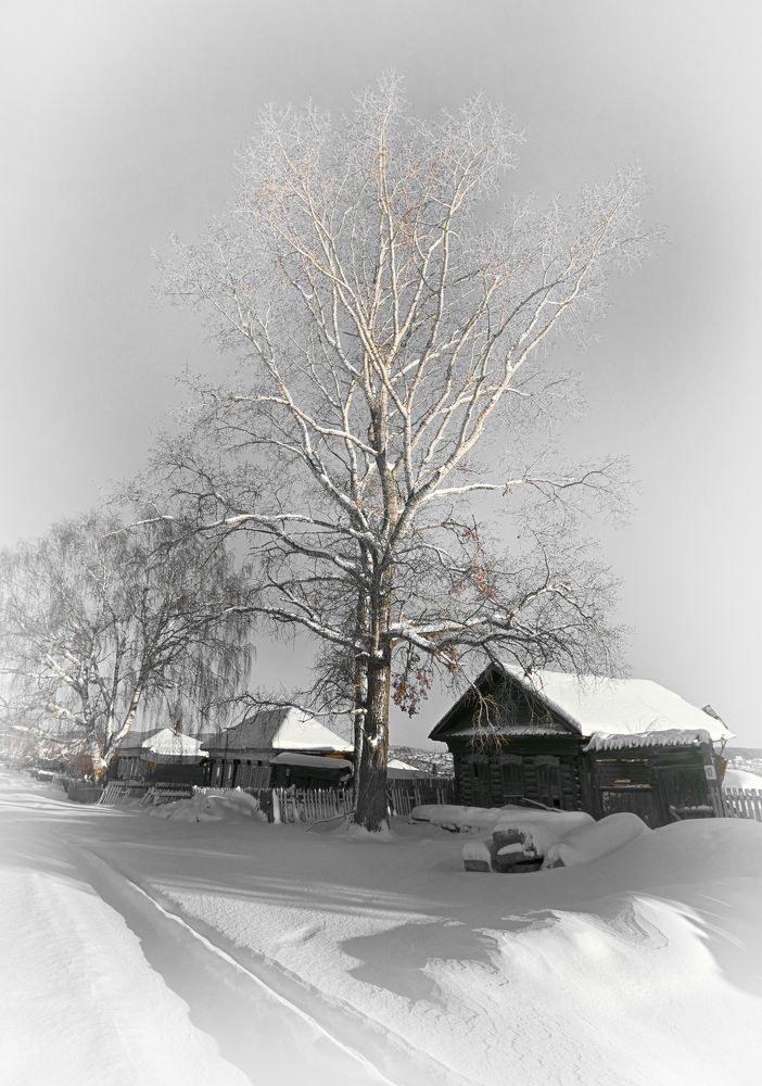 Зима на моей улице