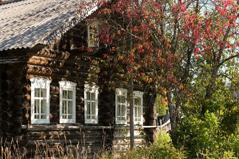 Photograph by Михаил Костыря