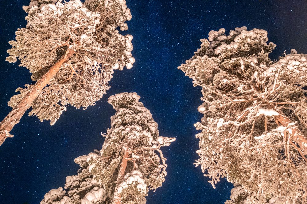 Под светом звезд