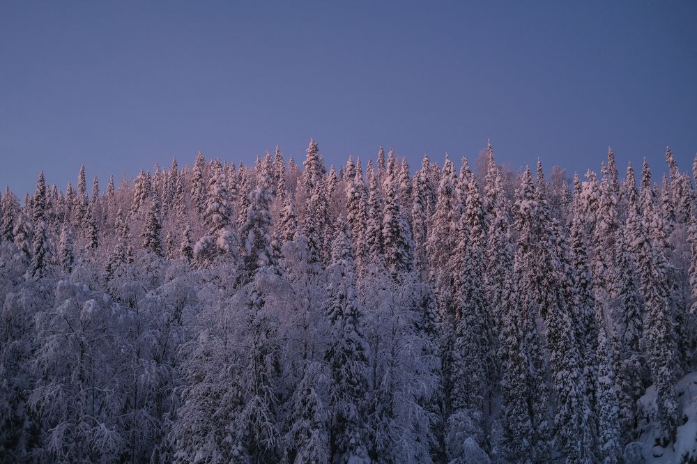 Снежные шапки