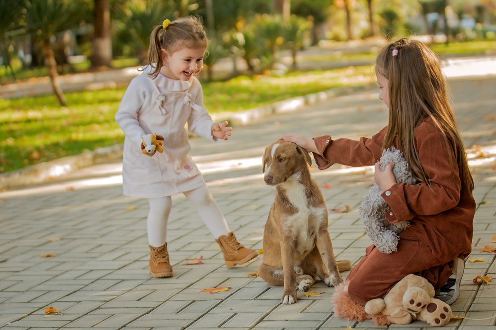 Photograph by Эля Цишба