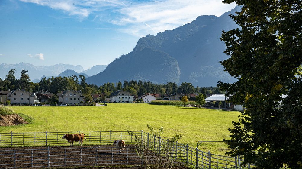 Photograph by RAJEEV JAIN