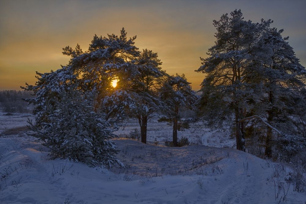 Photograph by Андрей Антонов