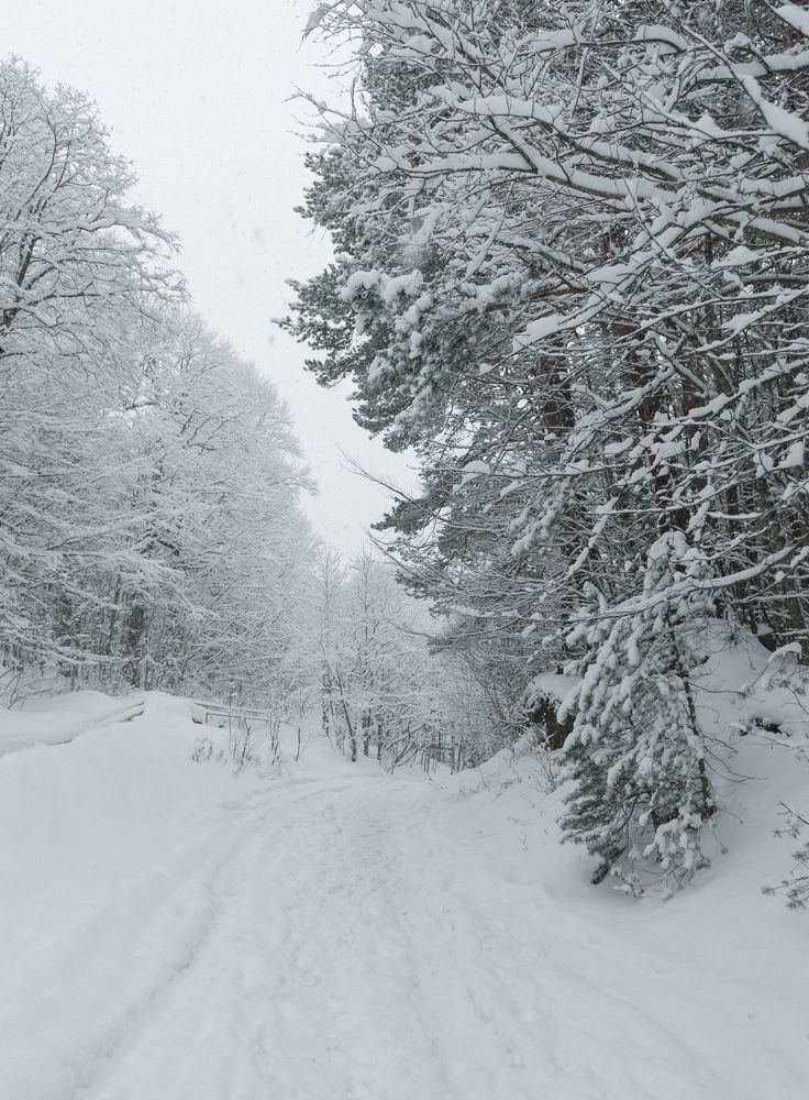 Фотография автора Табуев Батраз