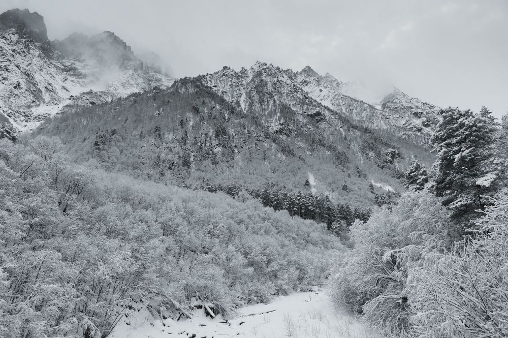 Фотография автора Табуев Батраз