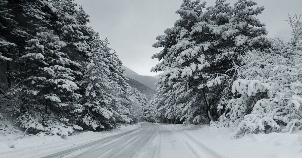 Фотография автора Табуев Батраз