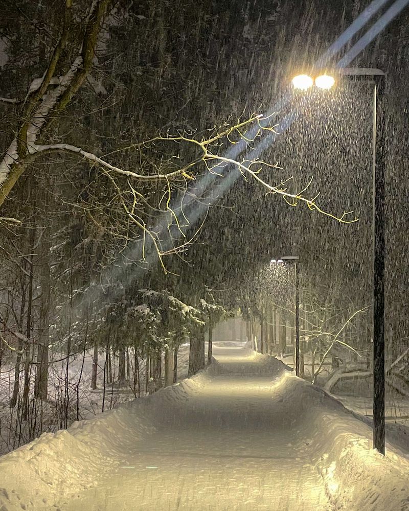 Photograph by Ольга Дорошенко