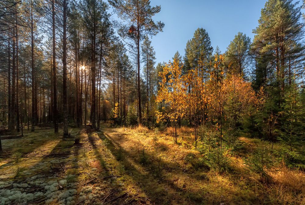 Photograph by Владимир Архипов