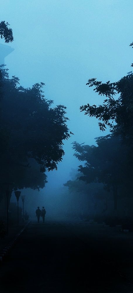 Photograph by Mayank Kushwah