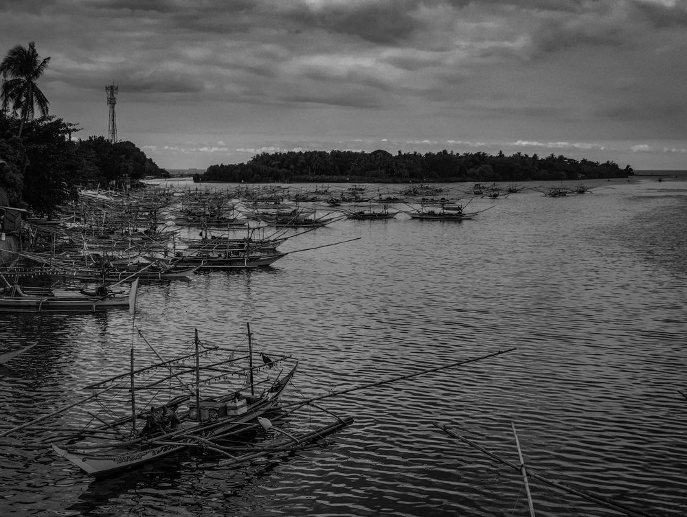 Photograph by Kane Pedroso