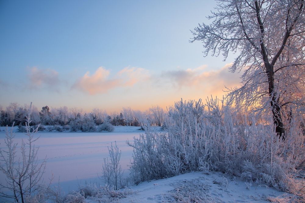 Photograph by Elena  Tagashova