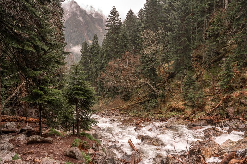 Photograph by Абдул Мигруев