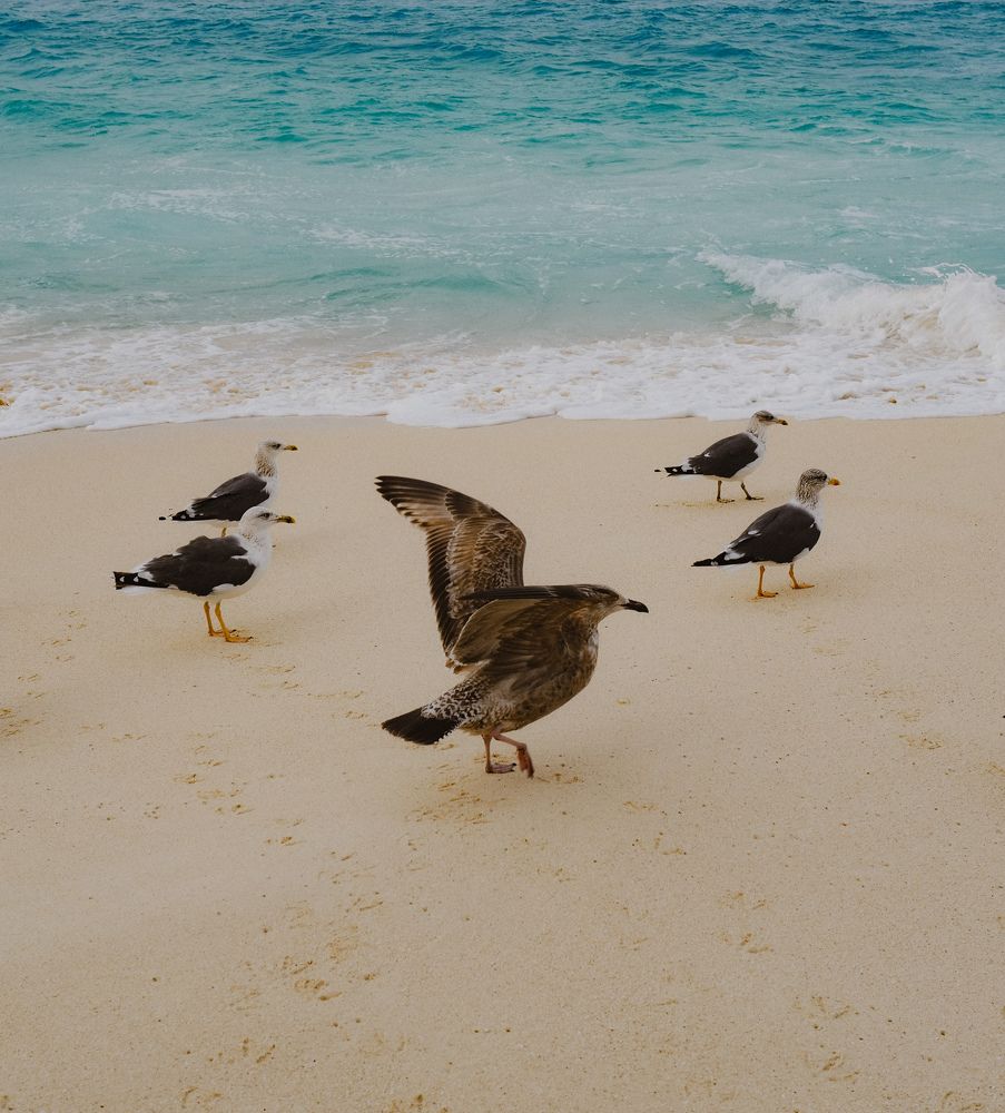 Photograph by Юлия Смирнова