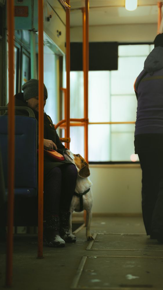 Photograph by Egor Klimovich