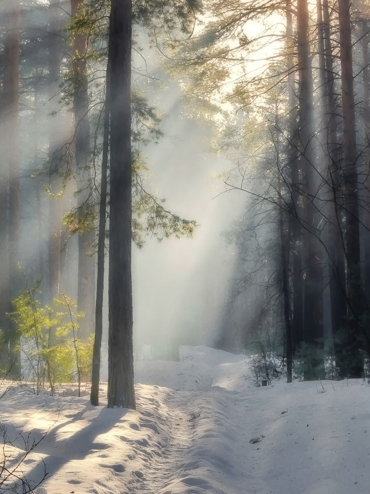 Photograph by Кузнецов Дмитрий