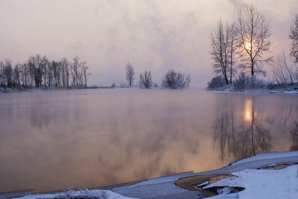 Photograph by Elena  Tagashova