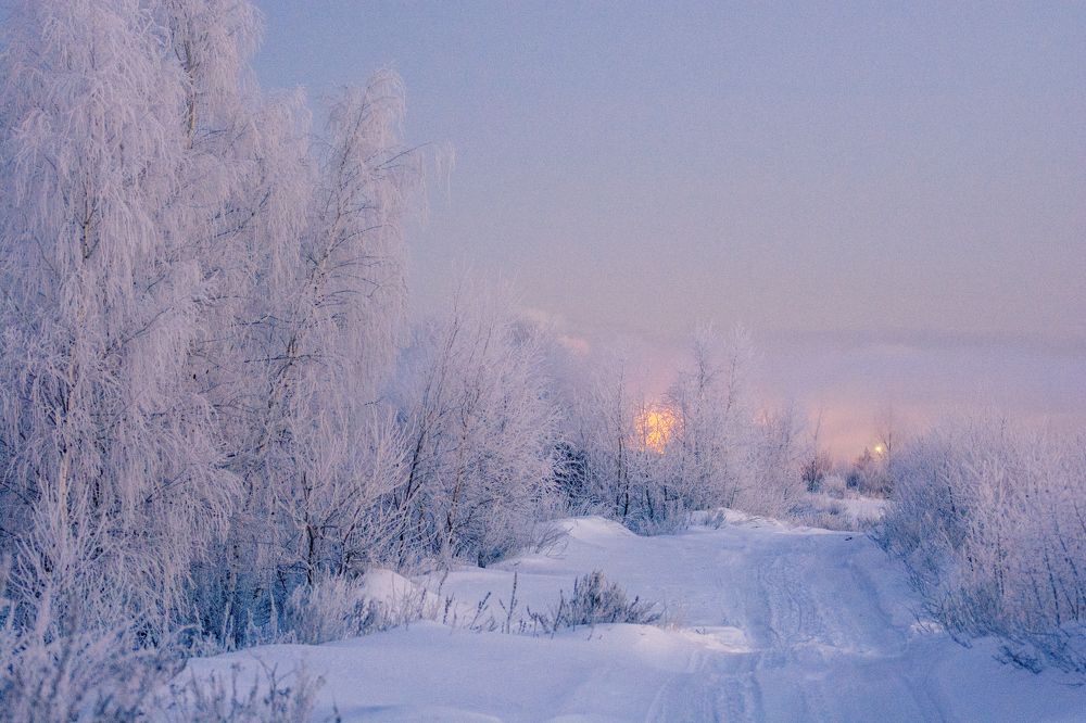 Фотография автора Ольга Лихтарь