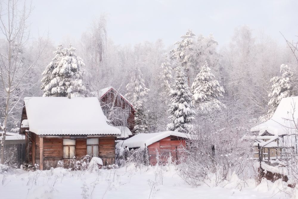 Photograph by Ольга Лихтарь