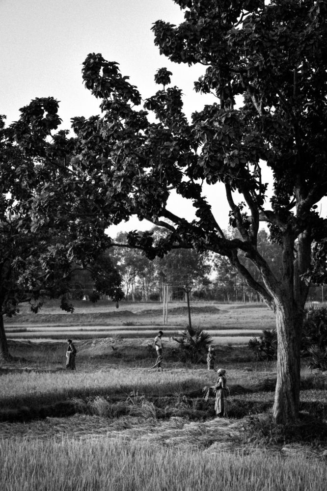 Фотография автора Anurag Banerjee